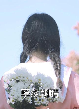 婢子有喜全文完结