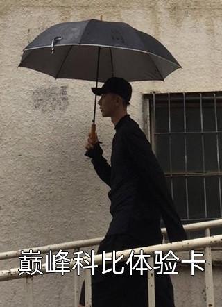 全集小说好孕之路：美人靠生子走上巅峰