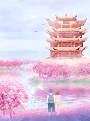 待到木槿花开最完整版